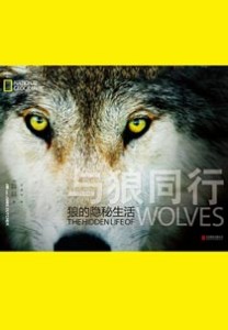《与狼同行》