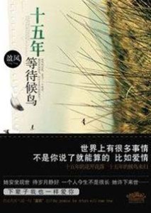 《十五年等待候鸟》