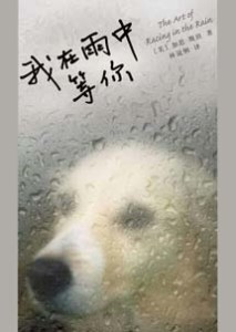 《我在雨中等你》