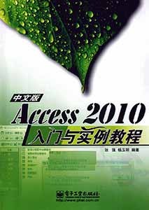 《Access 2010中文版入门与实例教程》